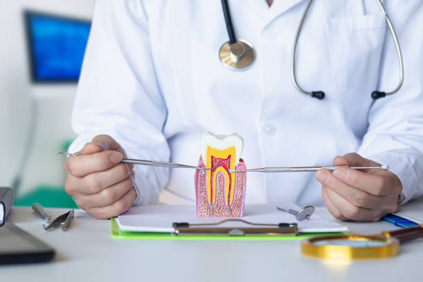 Best Broken or Cracked Tooth Emergency Dentist in East Rochester, NY